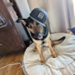 Meet your Posher, Holden